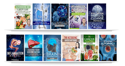 Inflammation Crushing Ebundle