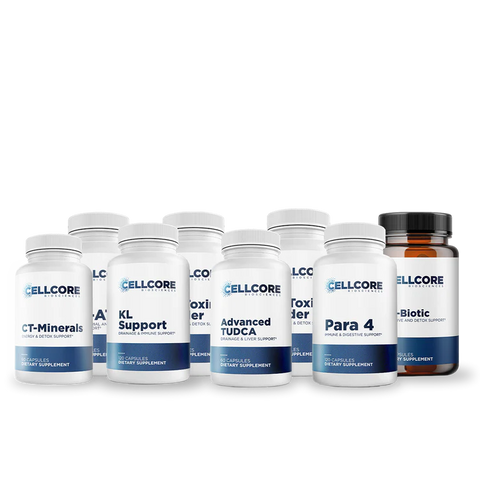 Stomach Support Protocol