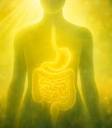 Digestive Health