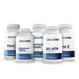 Phase 2: Gut & Immune Support